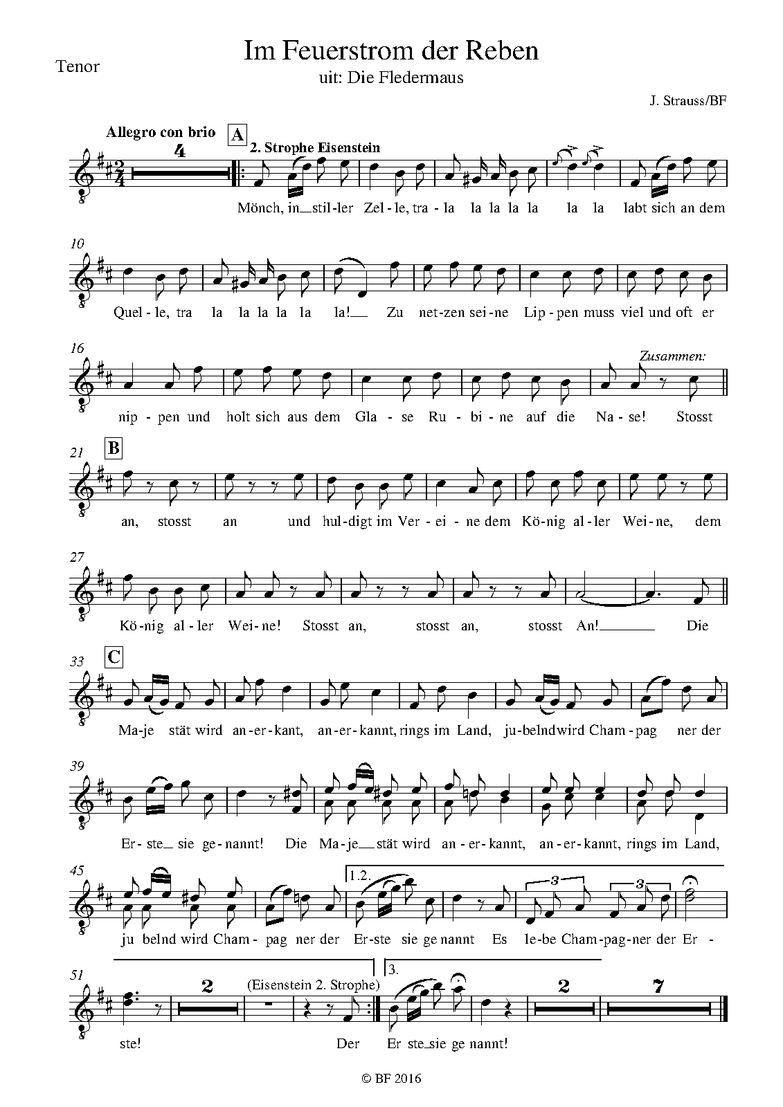 File:PMLP6836-Strauss ImFeuerstrom Tenor.pdf