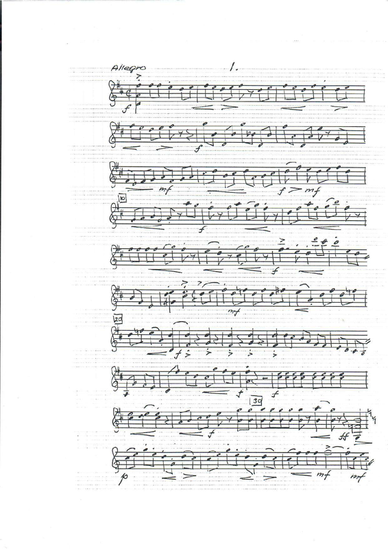 File:PMLP1258367-Martin- violin II..pdf