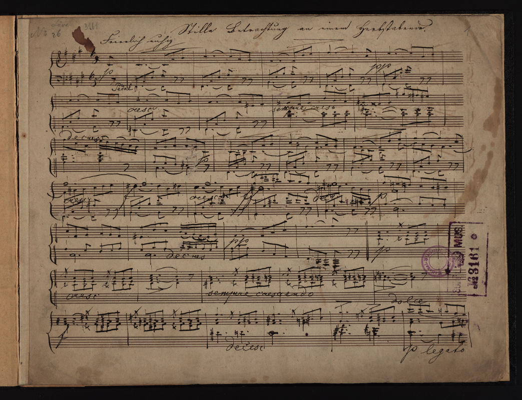 Stille Betrachtung an einem Herbstabend