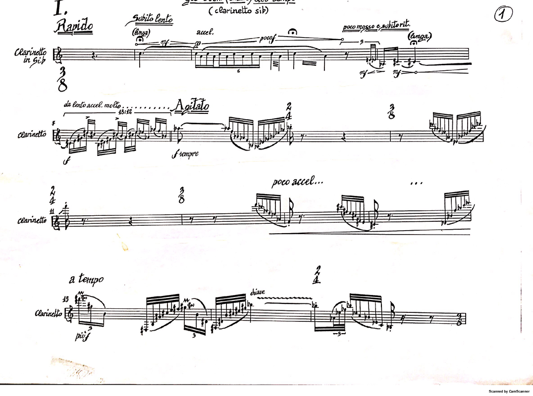 File:PMLP757964-Sonata per clarinetto parte del solista.pdf