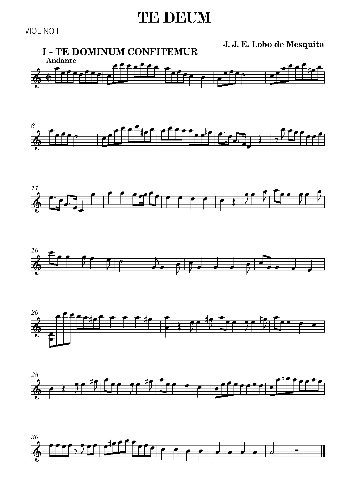 File:PMLP1113608-5 VIOLIN I.pdf