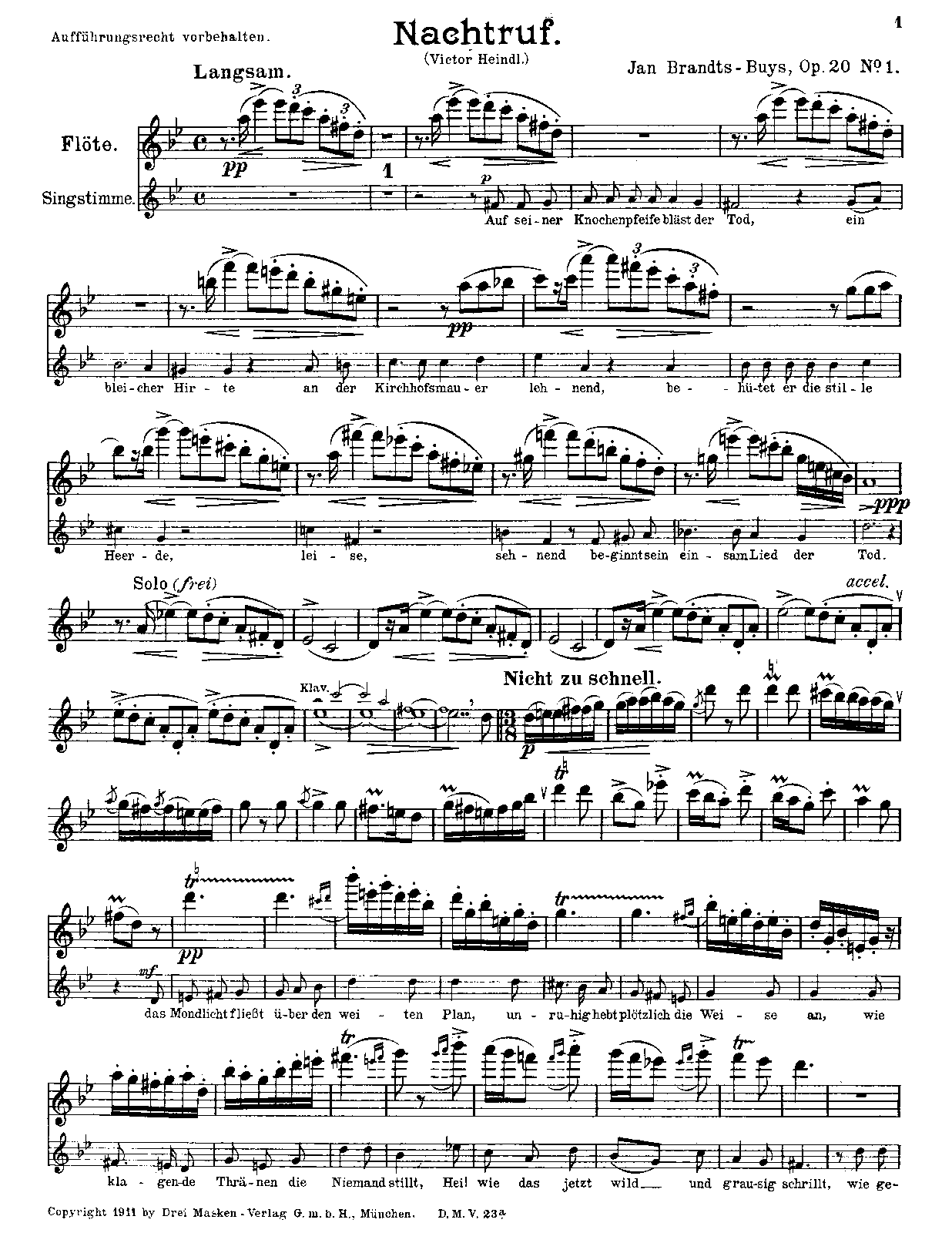 File:PMLP771299-BrandtsBuys LiederOp20 Flute.pdf