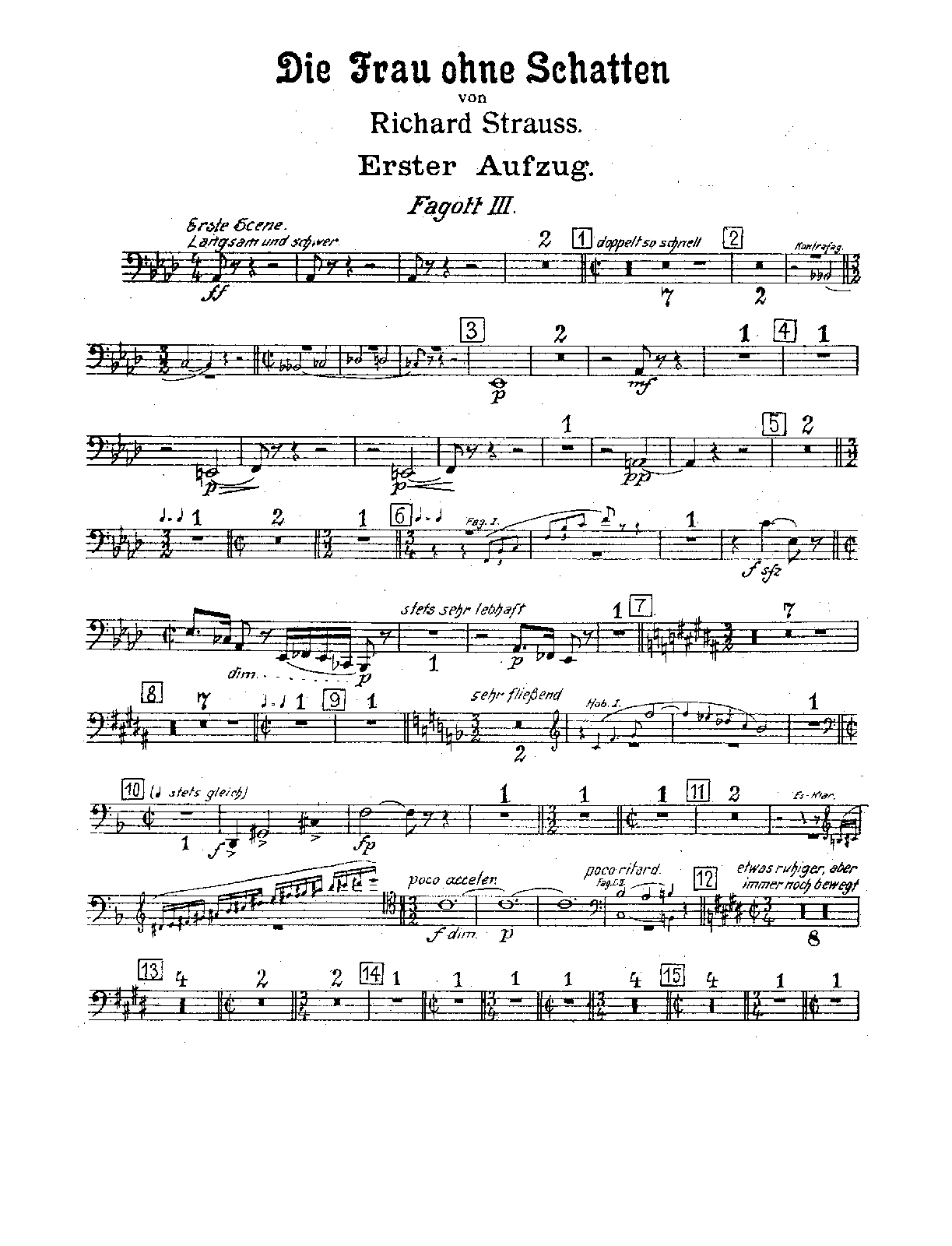 File:PMLP112606-Strauss Die Frau Ohne Schatten Op.65 Bassoon 3.pdf