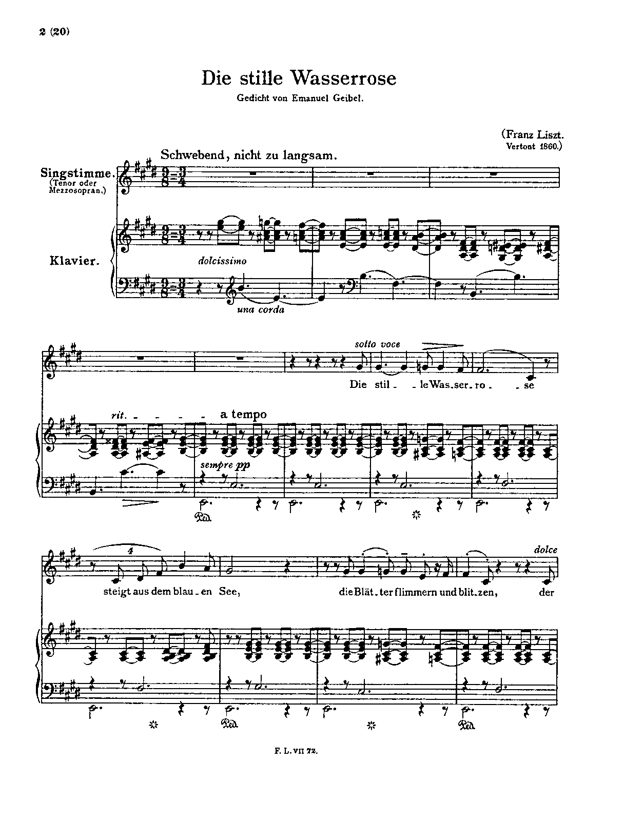 Die stille Wasserrose