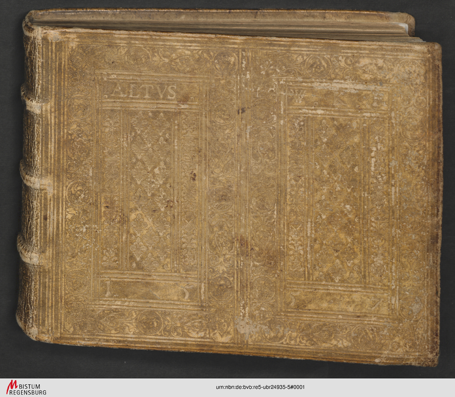 File:PMLP1296558-Altus-01.pdf