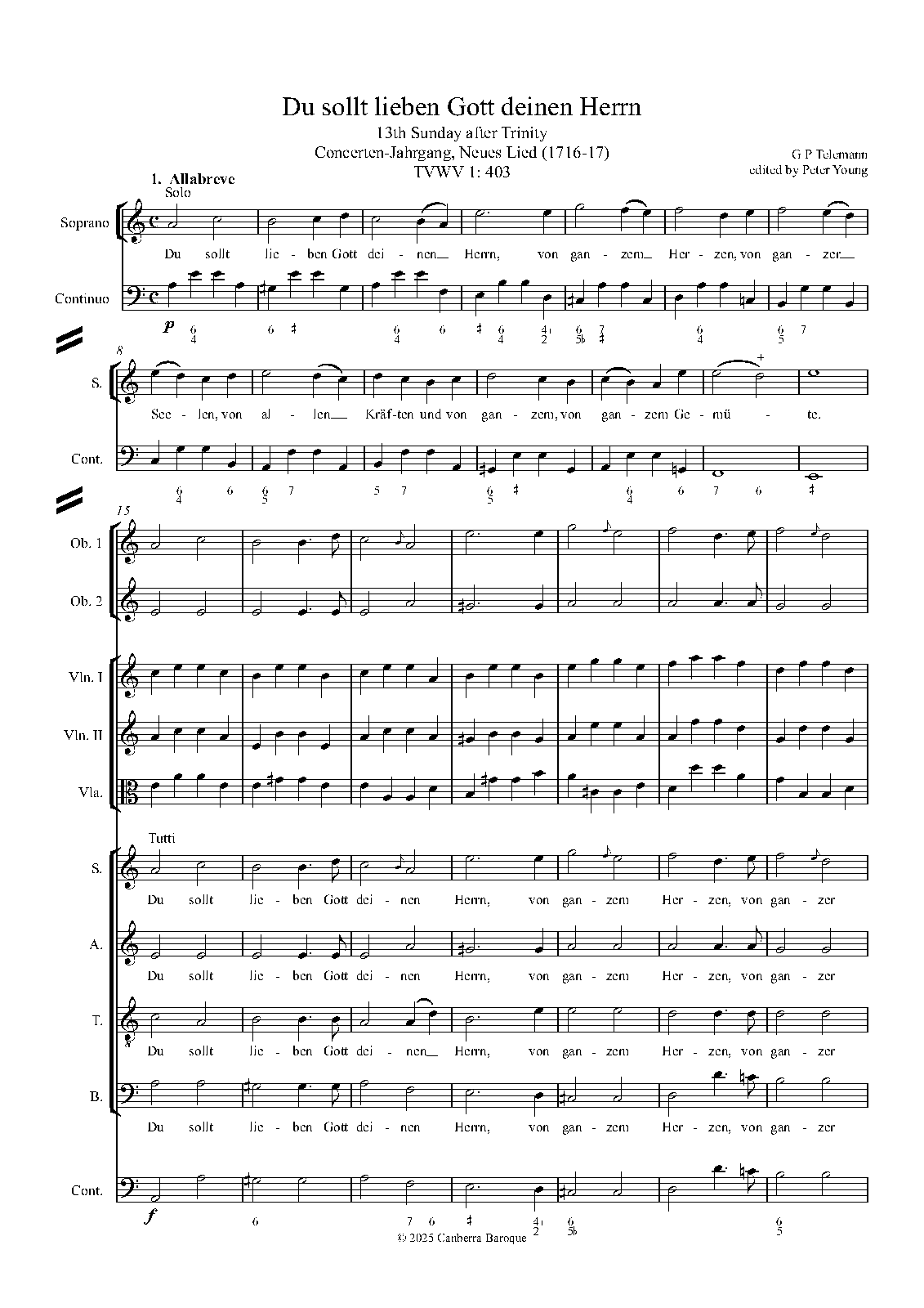 Du sollt lieben Gott deinen Herrn, TWV 1:403