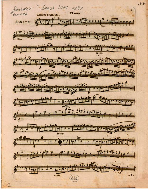 File:PMLP927573-flute.pdf