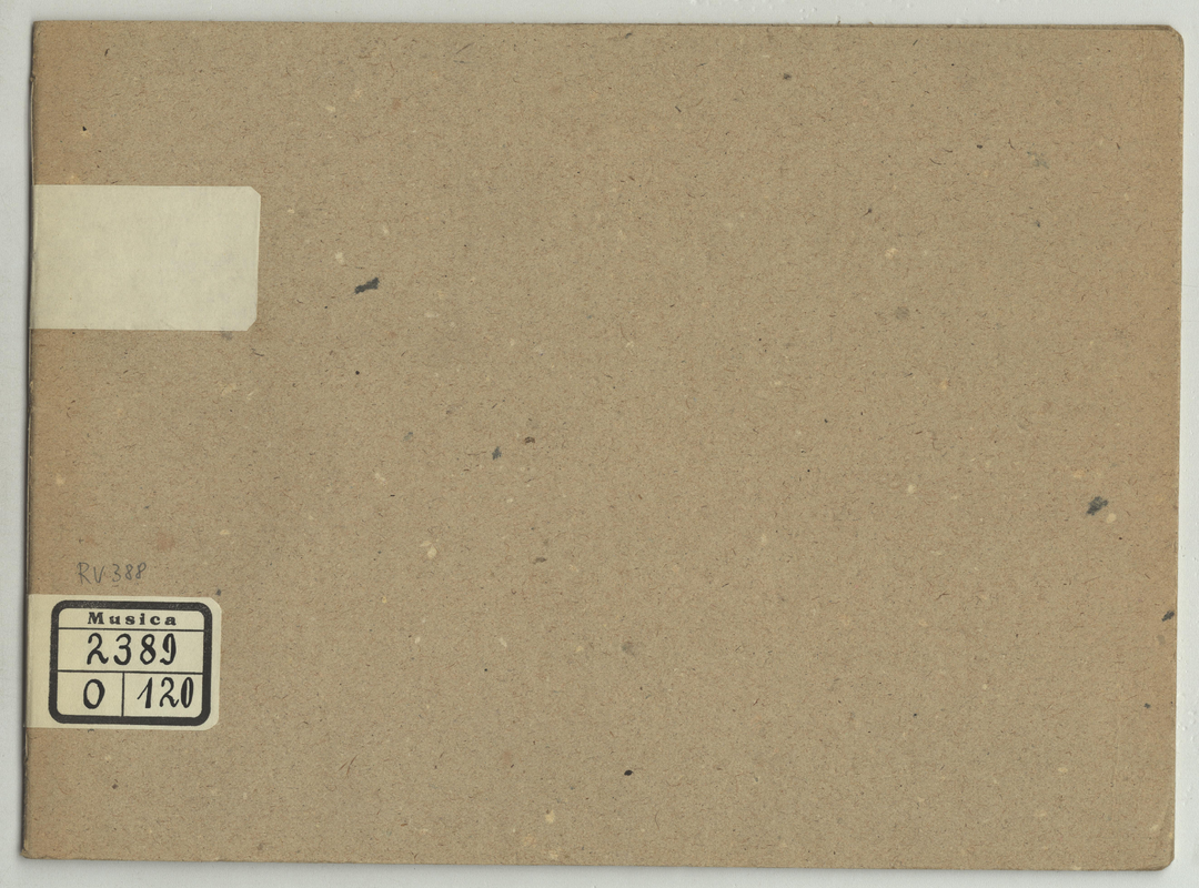 Violin Concerto in B minor