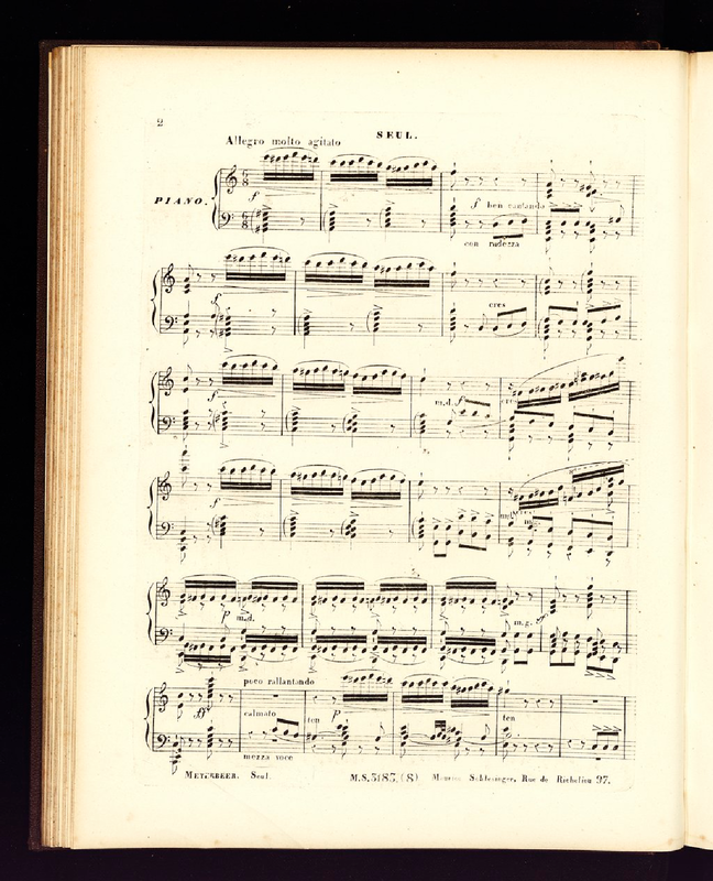 File:PMLP541660-Op.38, 8.pdf