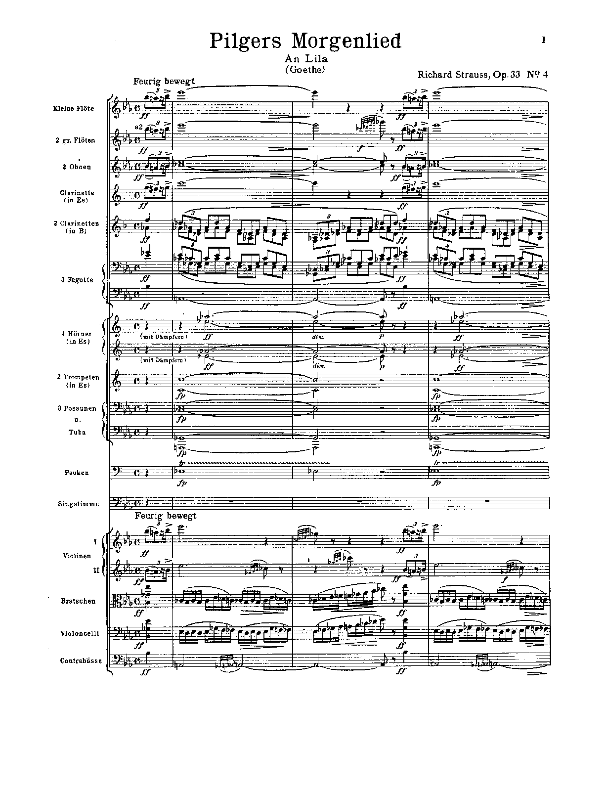 File:PMLP92892-Strauss Pilgers Morgenlied, Op.33 No.4 - Conductor Score.pdf