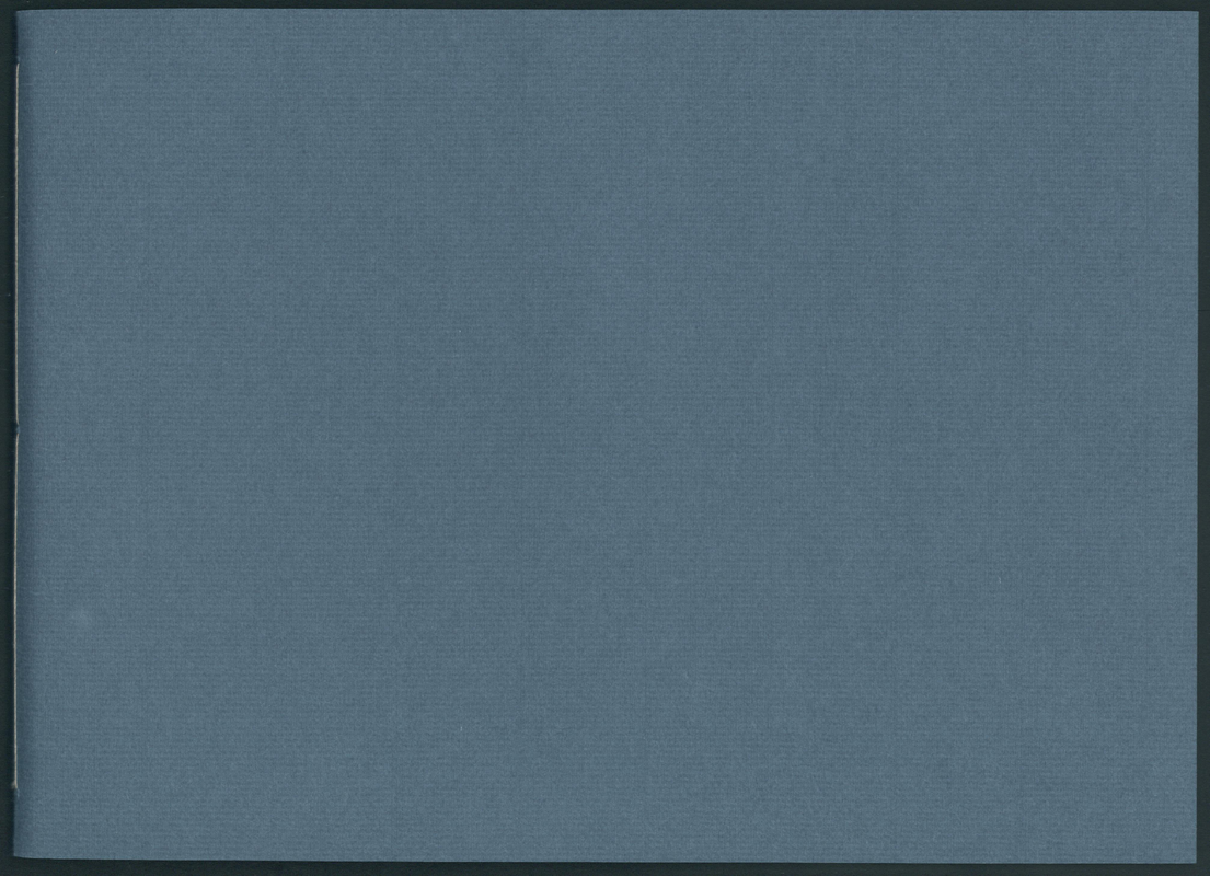 In turbato mare irato