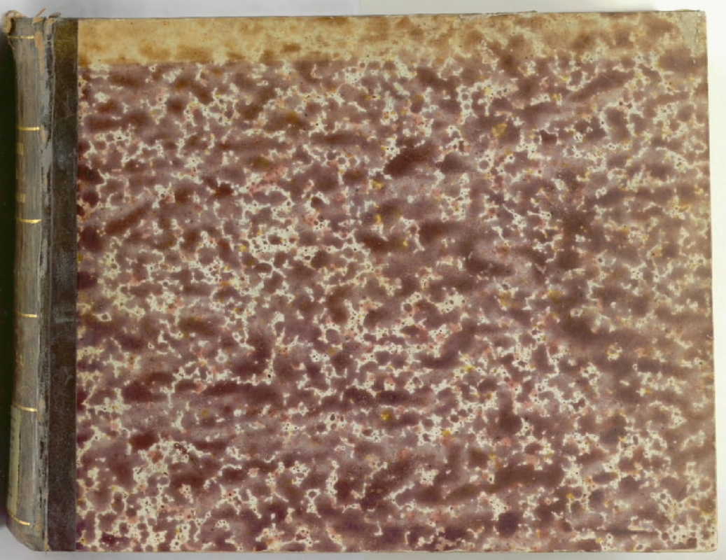 File:PMLP471943--Rari 1.1.8- Falegname.pdf