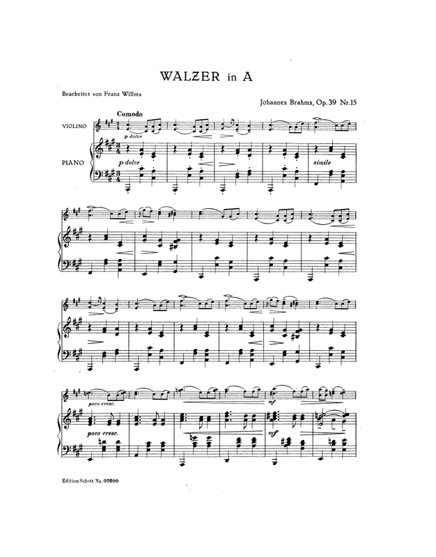 File:PMLP6507-Bra Wal v Willms.pdf