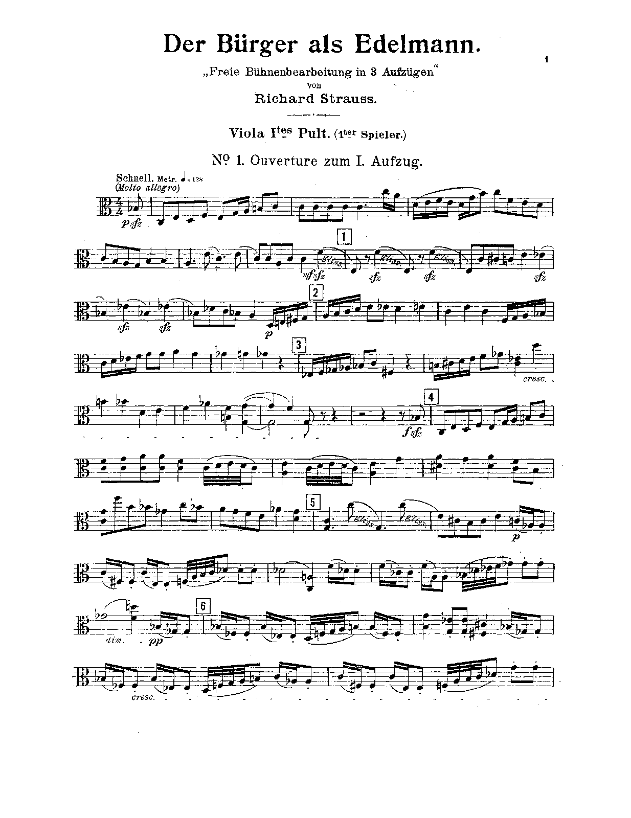 File:PMLP153620-Strauss Der Burger als Edelmann, Op.60 - Viola 1 (1st Player).pdf