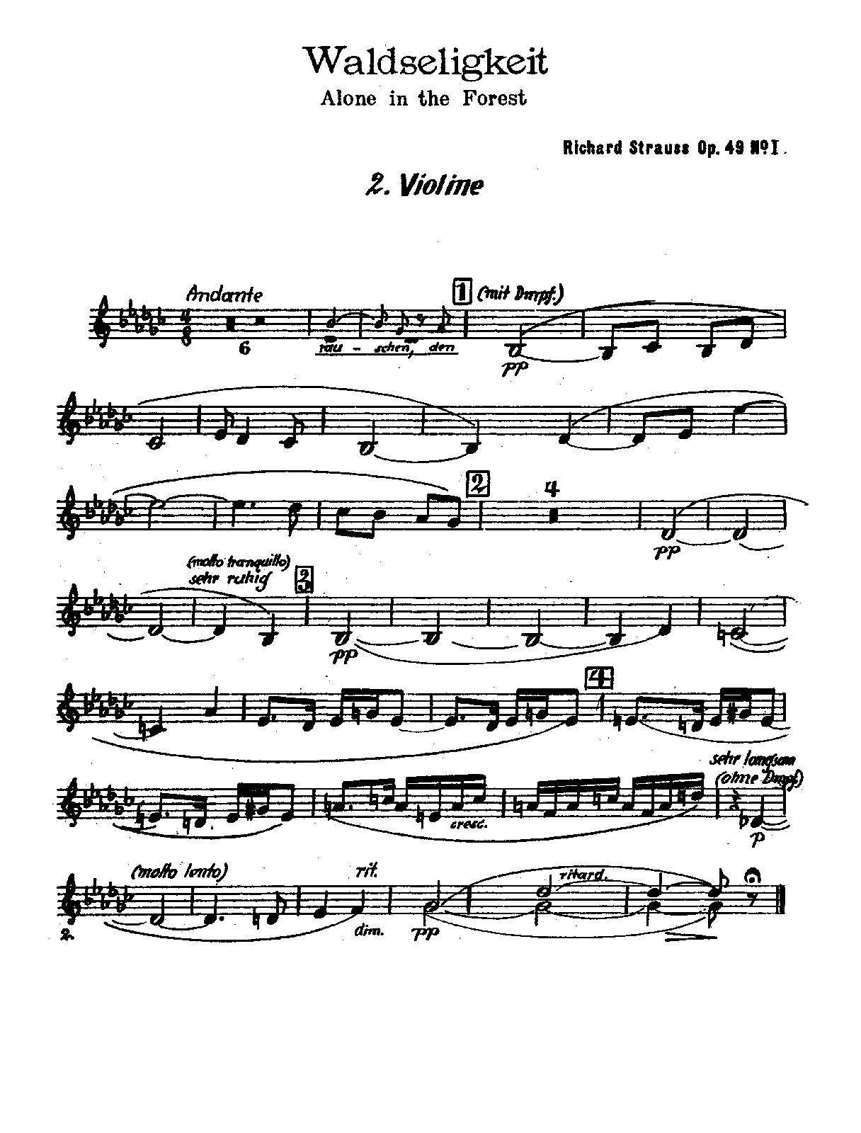File:PMLP93975-Strauss Waldseligkeit Op.49 No.1 - Violins II.pdf