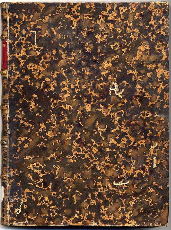 File:PMLP195289-Flores de Musica.pdf