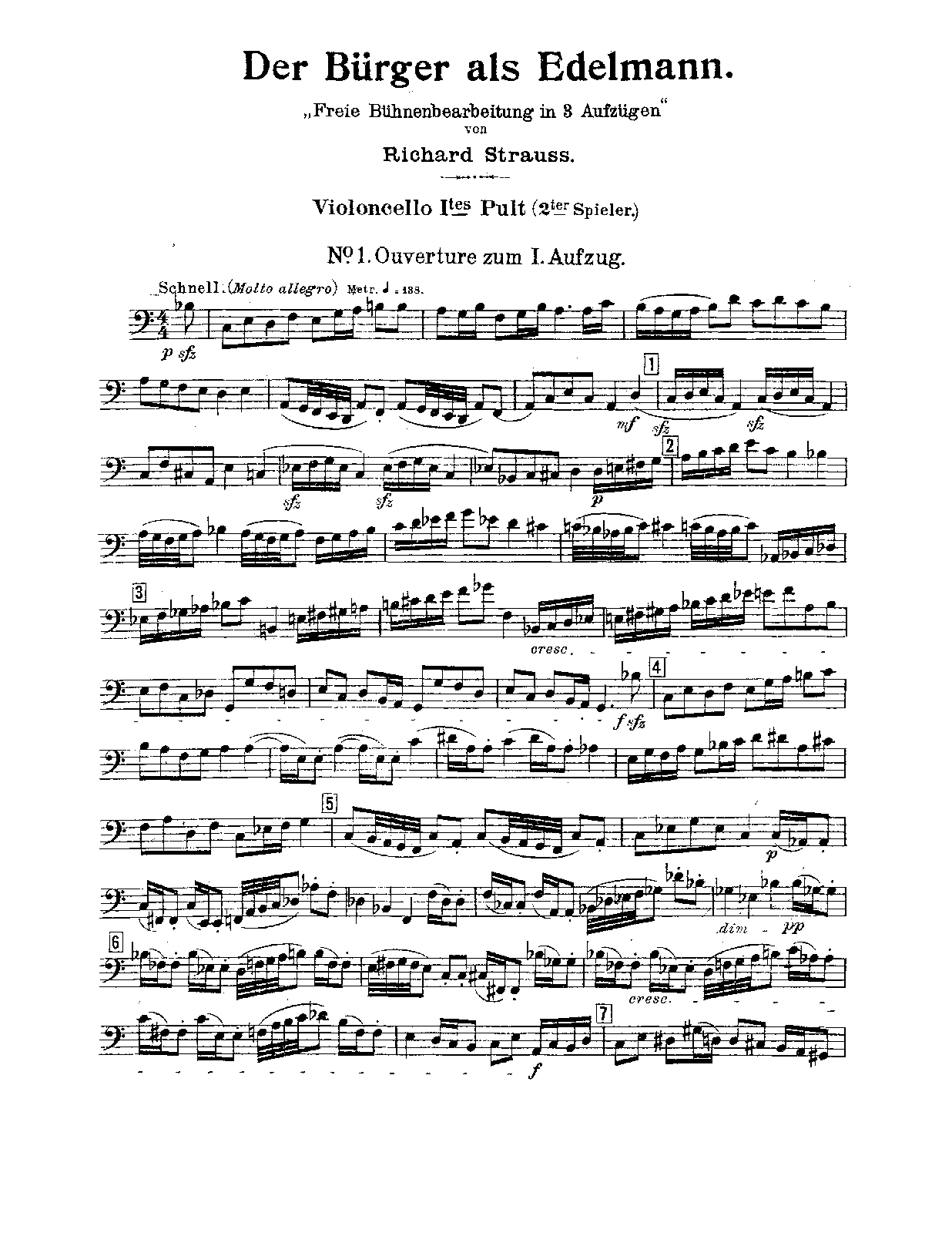 File:PMLP153620-Strauss Der Burger als Edelmann, Op.60 - Cello 1 (2nd Player).pdf