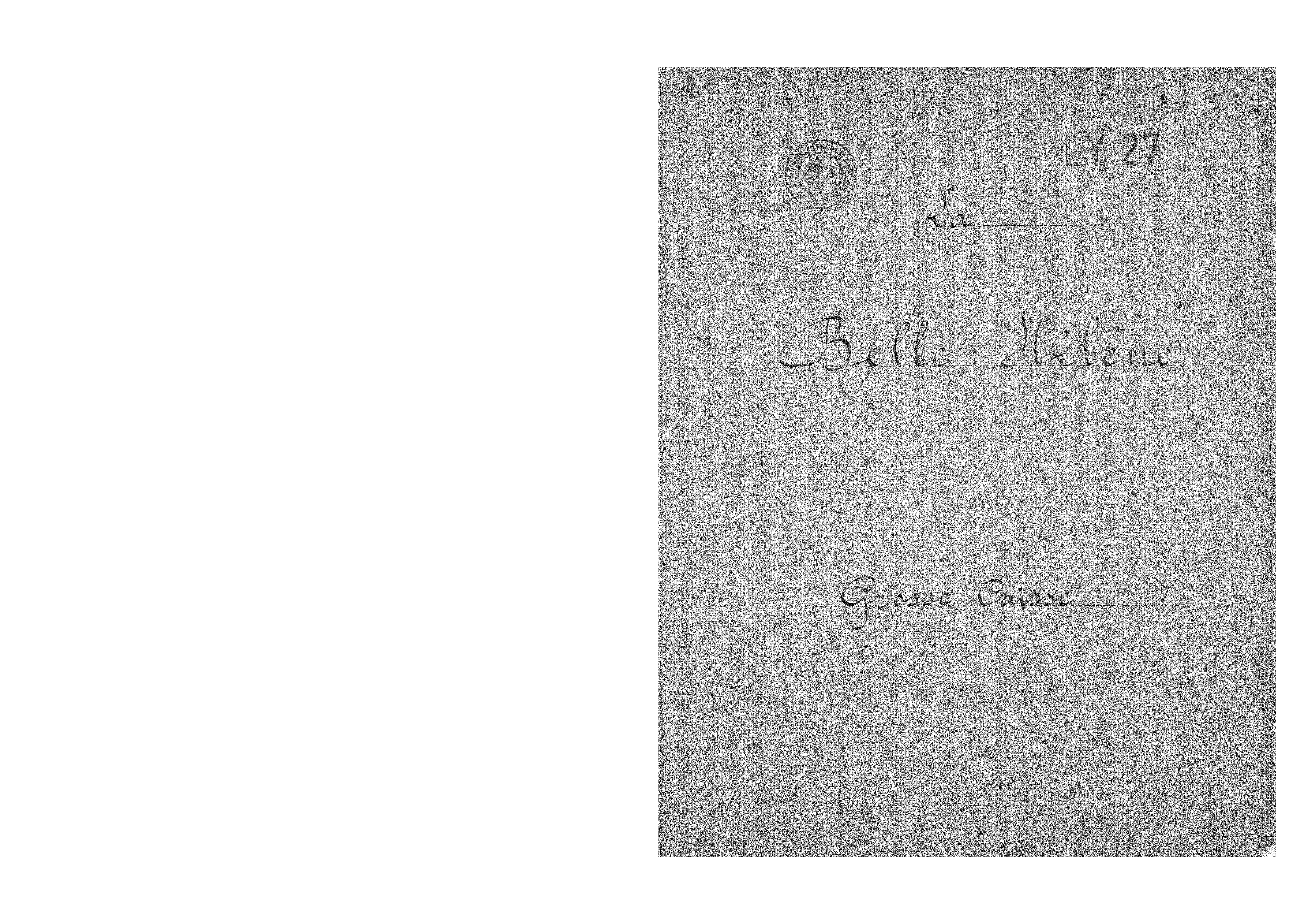 File:PMLP52156-Offenbach - La belle Hélène perc.pdf