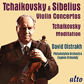 Violin Concerto in D Minor, Op. 47: I. Allegro moderato 