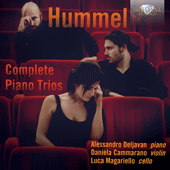 Arrangement Opiate Perennial Piano Trio in F major, Op.22 (Hummel, Johann Nepomuk) - IMSLP: Free Sheet  Music PDF Download