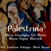 その他 Missa Assumpta Est Maria [CD] Amazon.co.jp: Missa Assumpta Est Maria: ミュージック